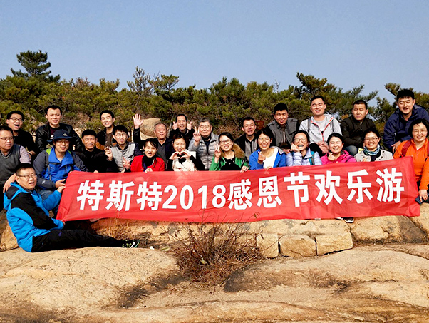 特斯特-感恩節(jié)歡樂游