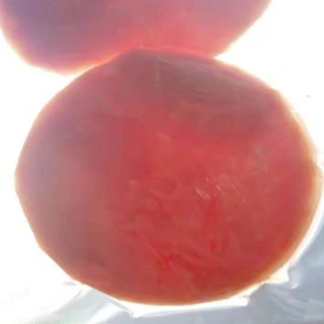 特斯特護色寶產(chǎn)品介紹