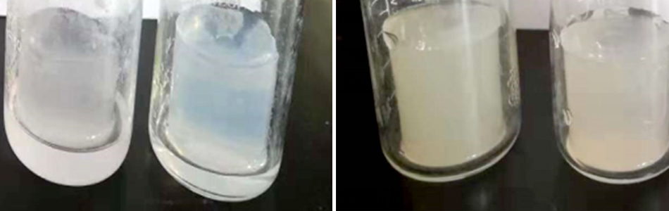 特斯特注射卡拉膠技術重大創新