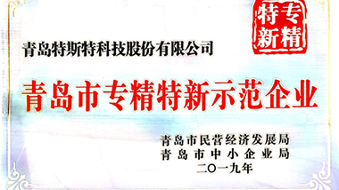 喜報！特斯特獲得“專精特新”示范企業(yè)授牌